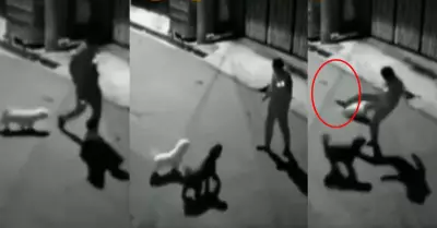 Hombre intenta patear a un perrito y su zapato sale volando.