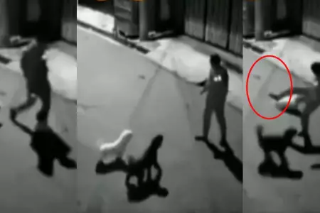 Hombre intenta patear a un perrito y su zapato sale volando.