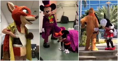 Escandalosos videos en Disney World