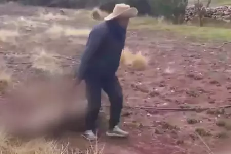 Esposos y sus ovejas mueren tras impacto de rayo en Cusco.