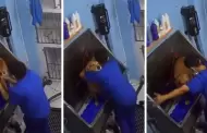 Un aumento? Trabajador de spa canino baila con perrito y se vuelve viral en TikTok