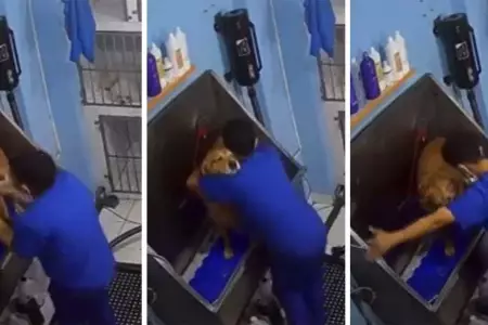 Empleado de veterinaria, baila con perrito mientras lo baa.