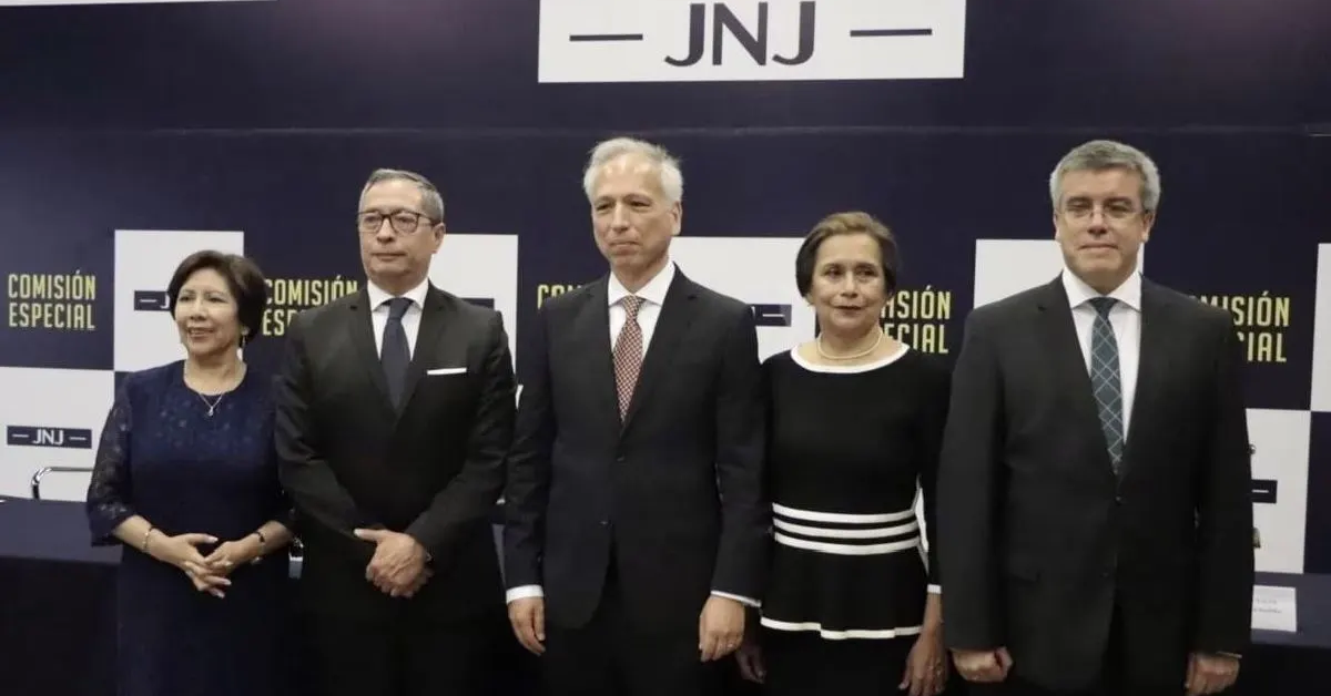 JNJ: "Argumentos para la remoción deben ser evaluados por una comisión del Congreso", según especialista.