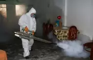 ¡Preocupante! Puno declara en alerta epidemiológica a San Pedro de Putina Punco por brote de dengue