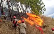 Incendio forestal en Arequipa: Siniestro en provincia de Caravelí se reactivó por fuertes vientos