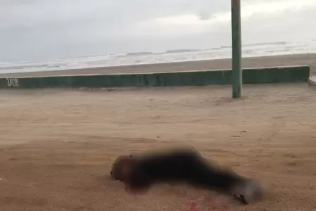 Matan a venezolano de dos disparos en playa de Caman