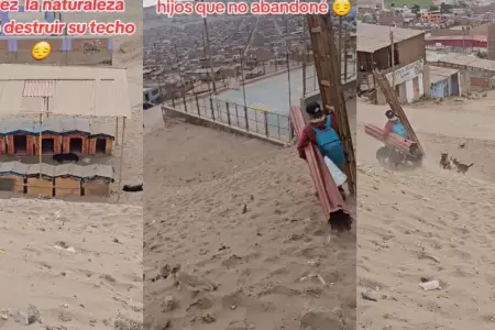 Joven construye casa para perritos abandonados en terreno de arena.