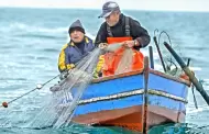 Atencin! Bono de pescadores: Hasta cundo se puede cobrar el subsidio de S/ 700?