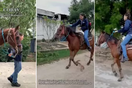 Quinceaera cambia su fiesta de cumpleaos por un caballo.