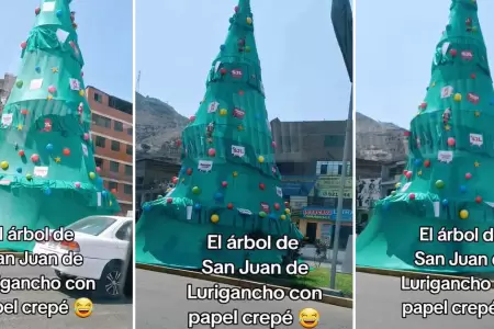 Joven sorprendida por peculiar rbol navideo de SJL.