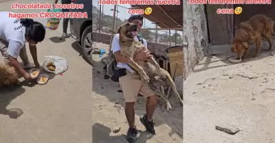 Jvenes realizaron 'croquetada' para perritos sin hogar.