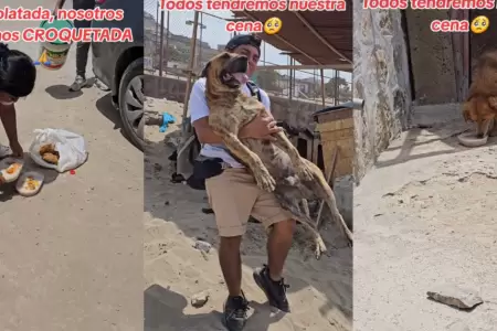 Jvenes realizaron 'croquetada' para perritos sin hogar.