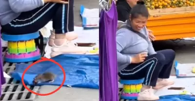 Vendedora ambulante detuvo a rata que intent robarle.