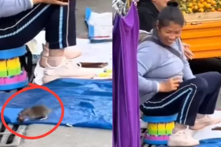 Vendedora ambulante detuvo a rata que intent robarle.