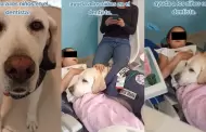 Aldo, el asistente dental de los nios, caus sensacin en TikTok: "El dogtor que todos necesitamos"