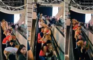 Desfile de perros raza golden retriever por Navidad conmueven en las redes sociales: "Deben ser eternos"