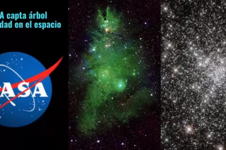 NASA captura imagen de un cmulo de estrellas que parece un rbol navideo.