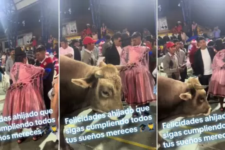 Mujer regala un enorme toro a su ahijado en graduacin.