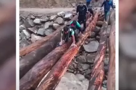 Pobladores arriesgan sus vidas cruzando sobre puente de troncos en Pamparomas.