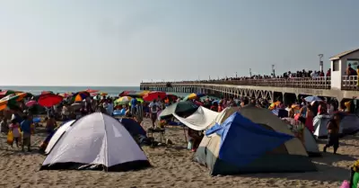 Tips para campamento en la playa por Ao Nuevo