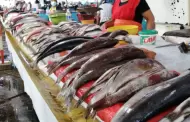 Oleajes anmalos: Cul es el precio del pescado tras el cierre de puertos?
