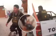 Indignacin en Ica: Policas son acusados de disparar a conductor de vehculo tubular en la Huacachina