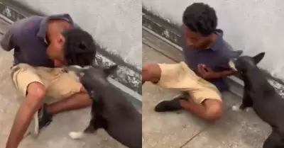 Capturan a un delincuente en Guayaquil y un perro se encarga de mantenerlo contr