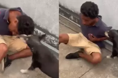 Capturan a un delincuente en Guayaquil y un perro se encarga de mantenerlo contr
