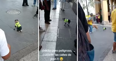 Perrito con uniforme de polica es la sensacin en Jirn de la Unin.