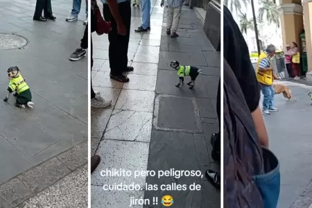 Perrito con uniforme de polica es la sensacin en Jirn de la Unin.