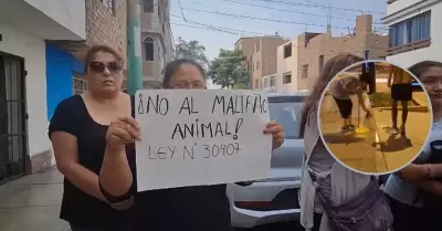 Vecinos protestan ante asesinato de gatos en el Callao.