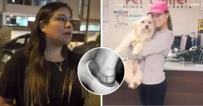 Mujer denuncia que mascota de Rosngela Espinoza la mordi.