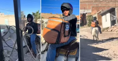 Repartidor de delivery llega montado en caballo, en Mxico.