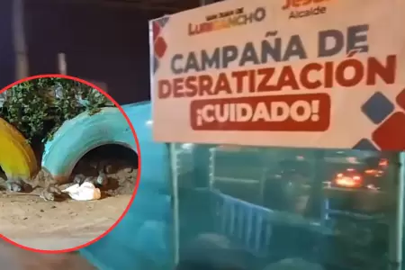Invasin de ratas en San Juan de Lurigancho