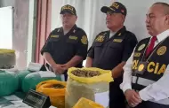 "Los proveedores de Fujimori": Incautan droga a integrantes de banda criminal en Huacho