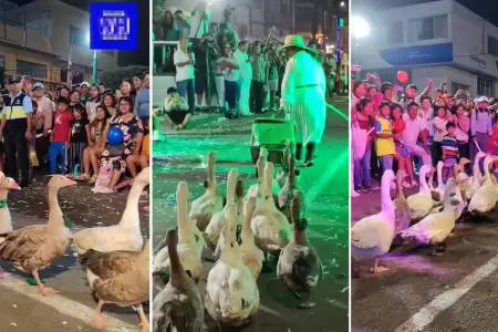 Gansos sorprenden al desfilar en corso de Mollendo.