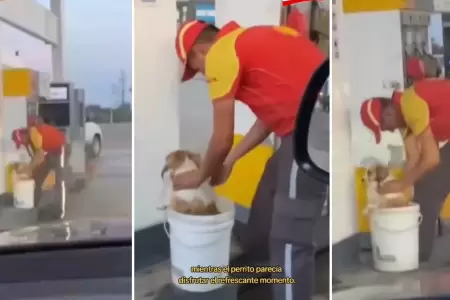 Trabajador de gasolinera ayuda a perrito en Argentina.