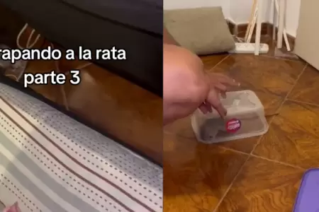 Rata asusta a pareja