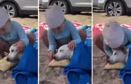 Nia trata de que su perrito descanse tranquilo en la playa y usuarios reaccionan: "Dos almas inocentes"