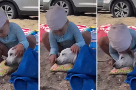 Nia pone cojn a su perrito en la playa.