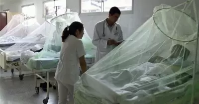Confirman un muerto y aumento de casos de dengue en Cusco.
