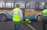 Accidente en San Borja: choque entre bus de transporte público y camión deja cinco heridos