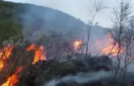 Minam: Alerta! Ola de calor puede incrementar condiciones para la ocurrencia de incendios forestales