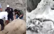 Hallan restos de tres personas con signos de tortura en fosas clandestinas en La Molina