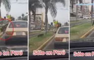 Perrito baja de un auto durante semforo en rojo para orinar y usuarios reaccionan: "Seres tan inteligentes"