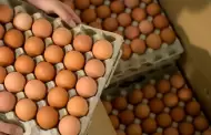 Precio del huevo: Cules son los factores que provocaron su aumento? Asociacin de Productores responde