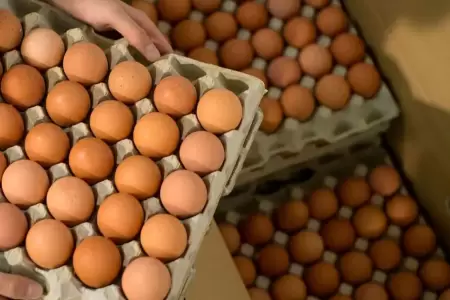 Los factores que provocaron el incremento del precio del huevo.