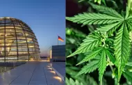 Aprobado! Alemania legaliza el uso de cannabis recreativo en adultos: En qu otros pases est autorizado?