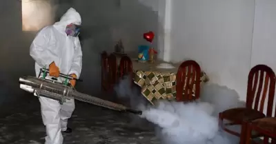 Reportan segundo caso de dengue autctono en distrito Atico