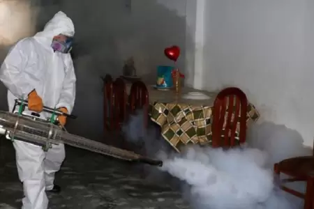 Incremento de dengue en Perú.